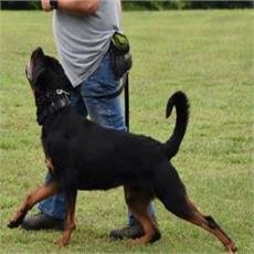 Giovanna Marie von Kozak Lucente-Reen